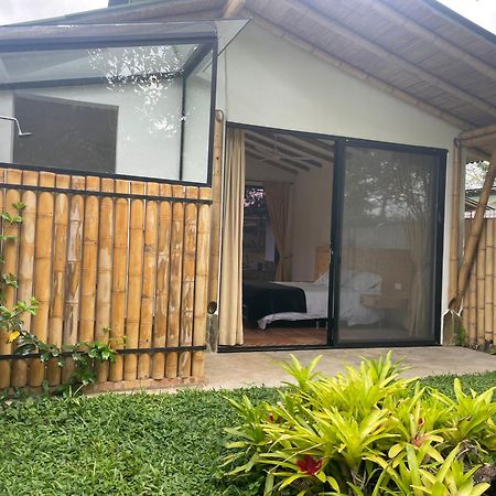 Ecohotel Alma Calarcá エクステリア 写真
