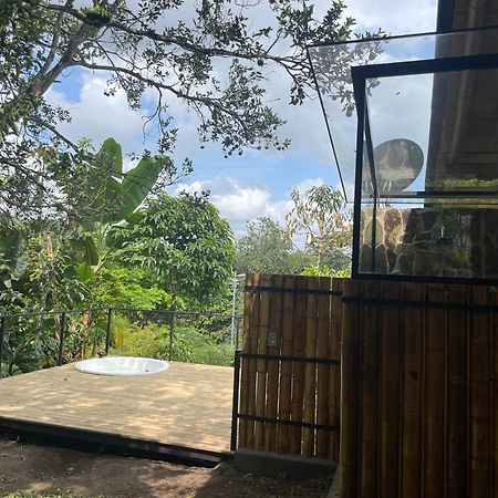 Ecohotel Alma Calarcá エクステリア 写真