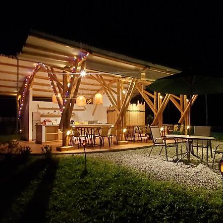 Ecohotel Alma Calarcá エクステリア 写真