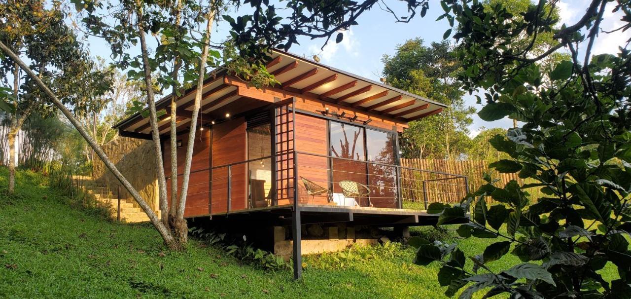Ecohotel Alma Calarcá エクステリア 写真