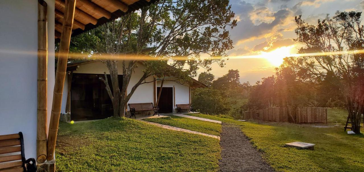 Ecohotel Alma Calarcá エクステリア 写真