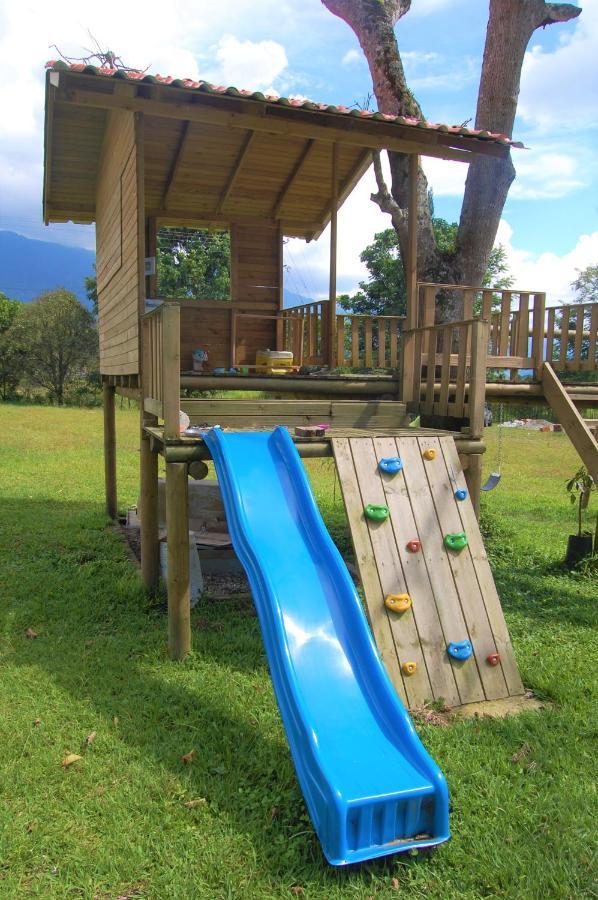 Ecohotel Alma Calarcá エクステリア 写真