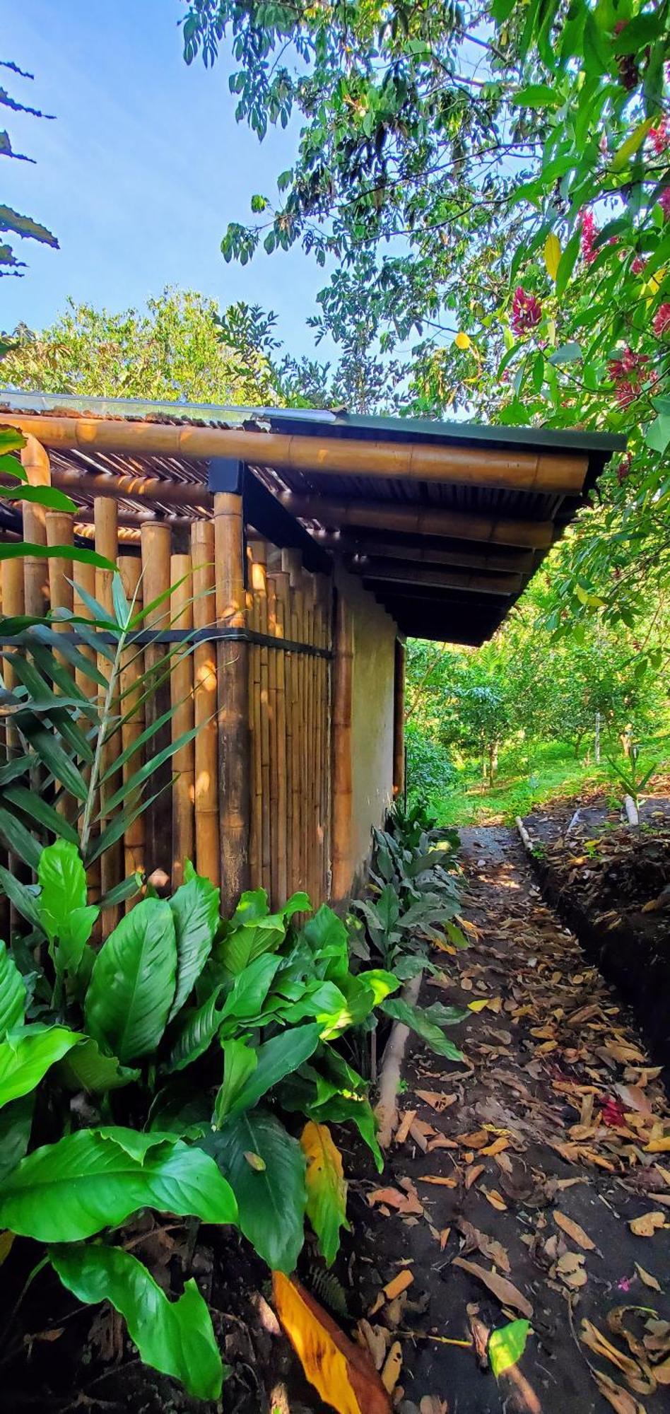 Ecohotel Alma Calarcá エクステリア 写真