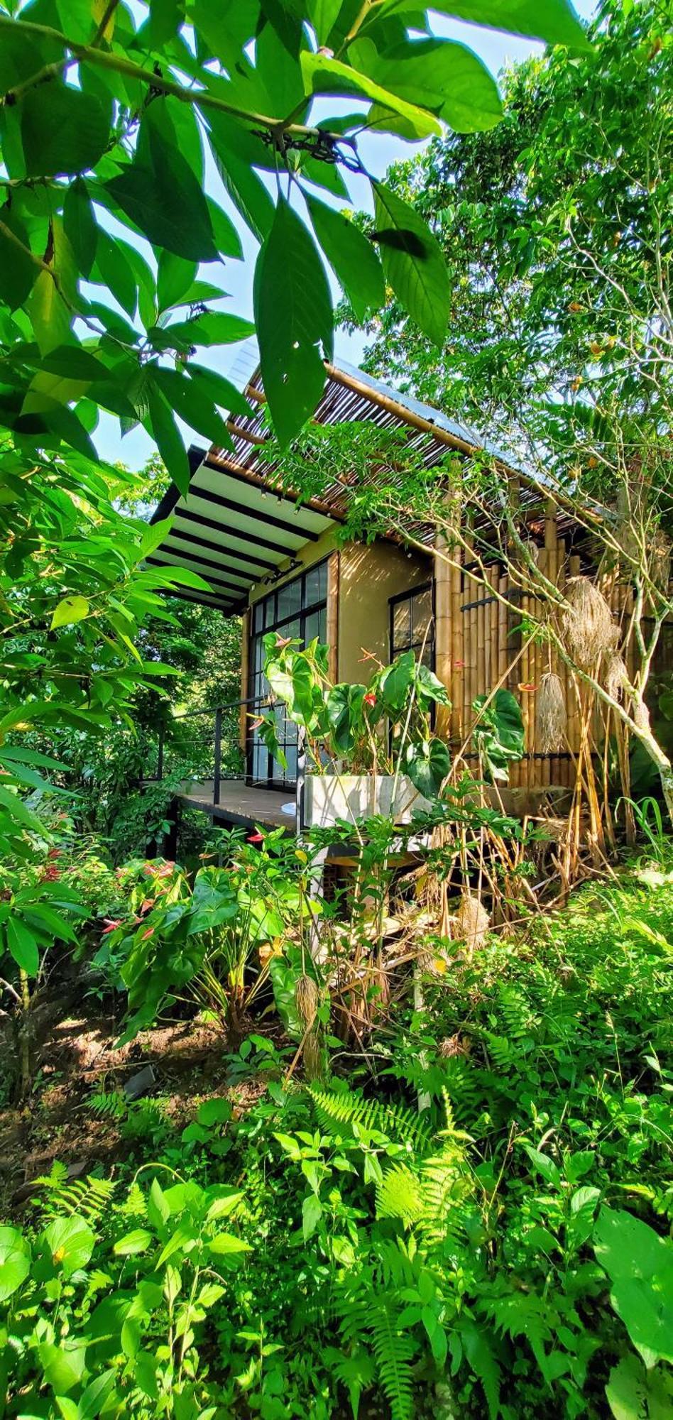 Ecohotel Alma Calarcá エクステリア 写真