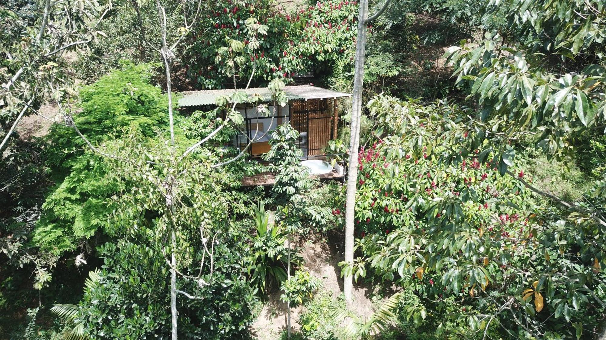 Ecohotel Alma Calarcá エクステリア 写真