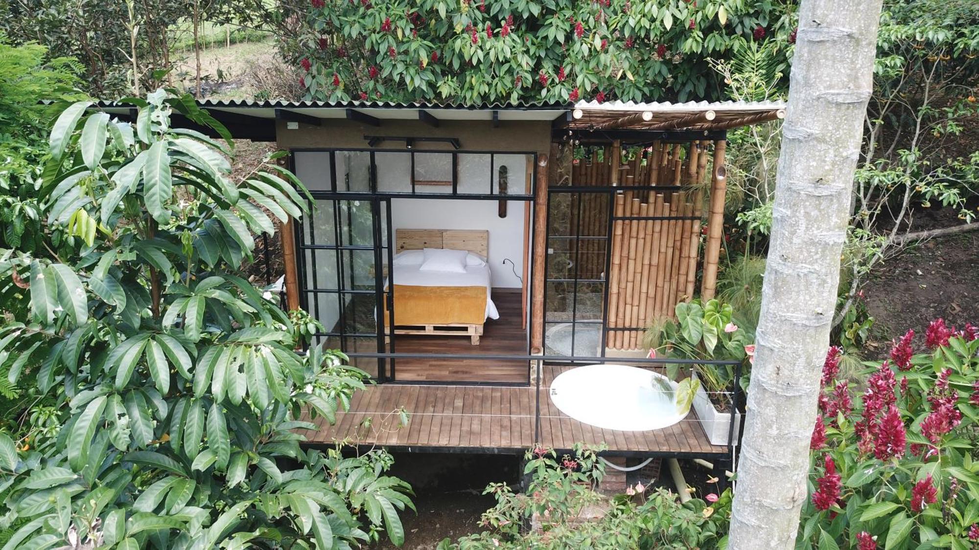 Ecohotel Alma Calarcá エクステリア 写真