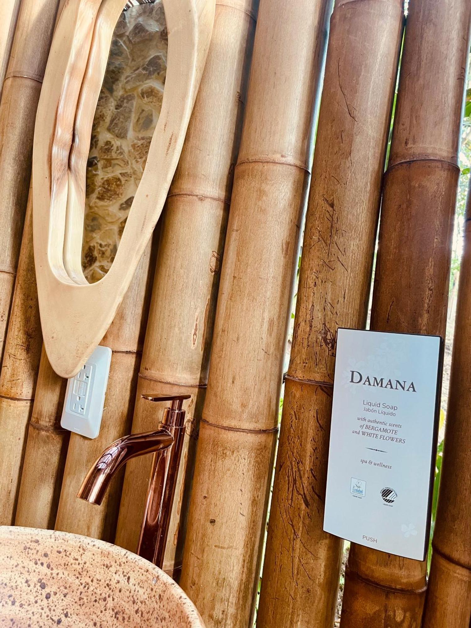 Ecohotel Alma Calarcá エクステリア 写真