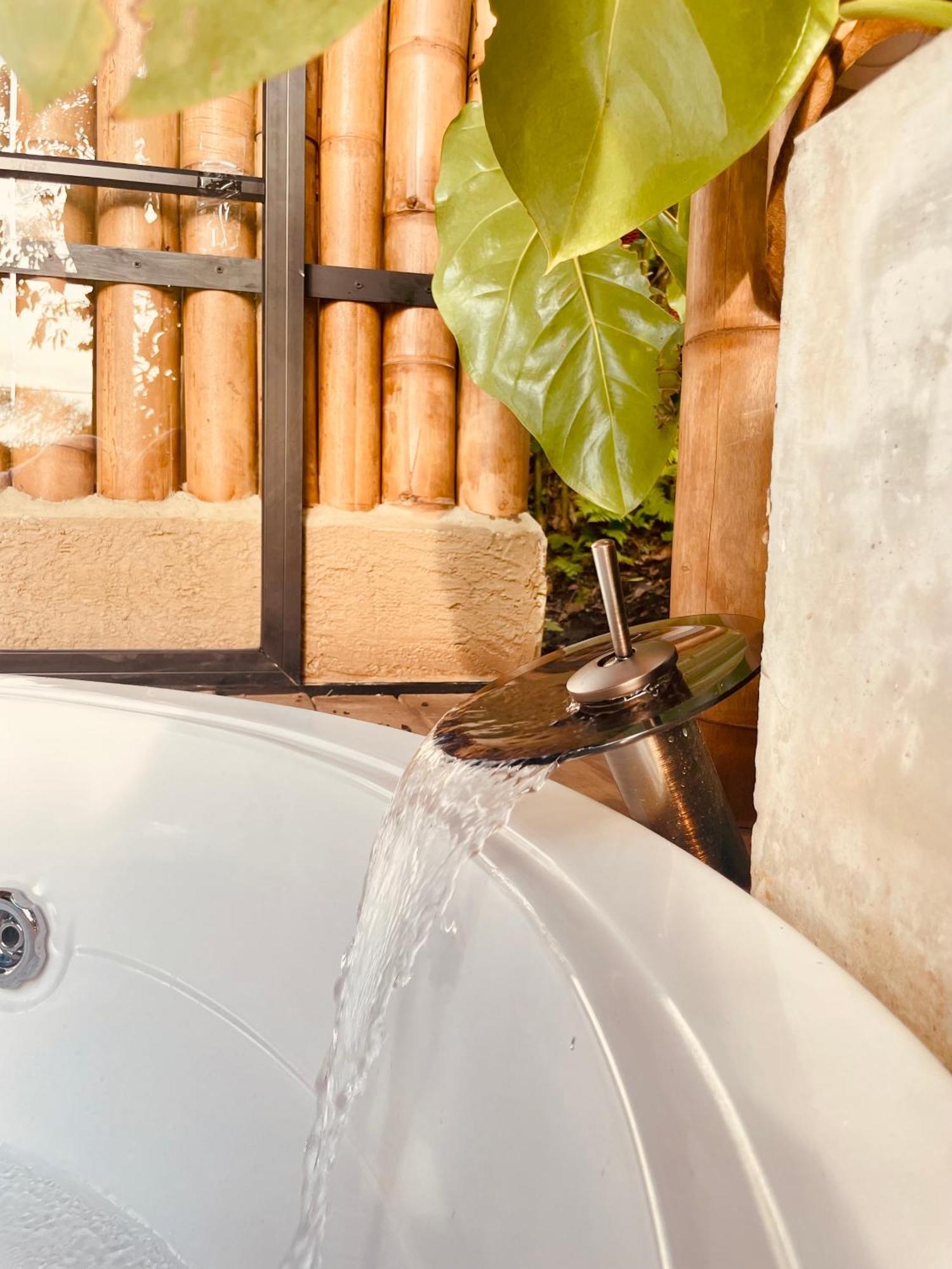 Ecohotel Alma Calarcá エクステリア 写真