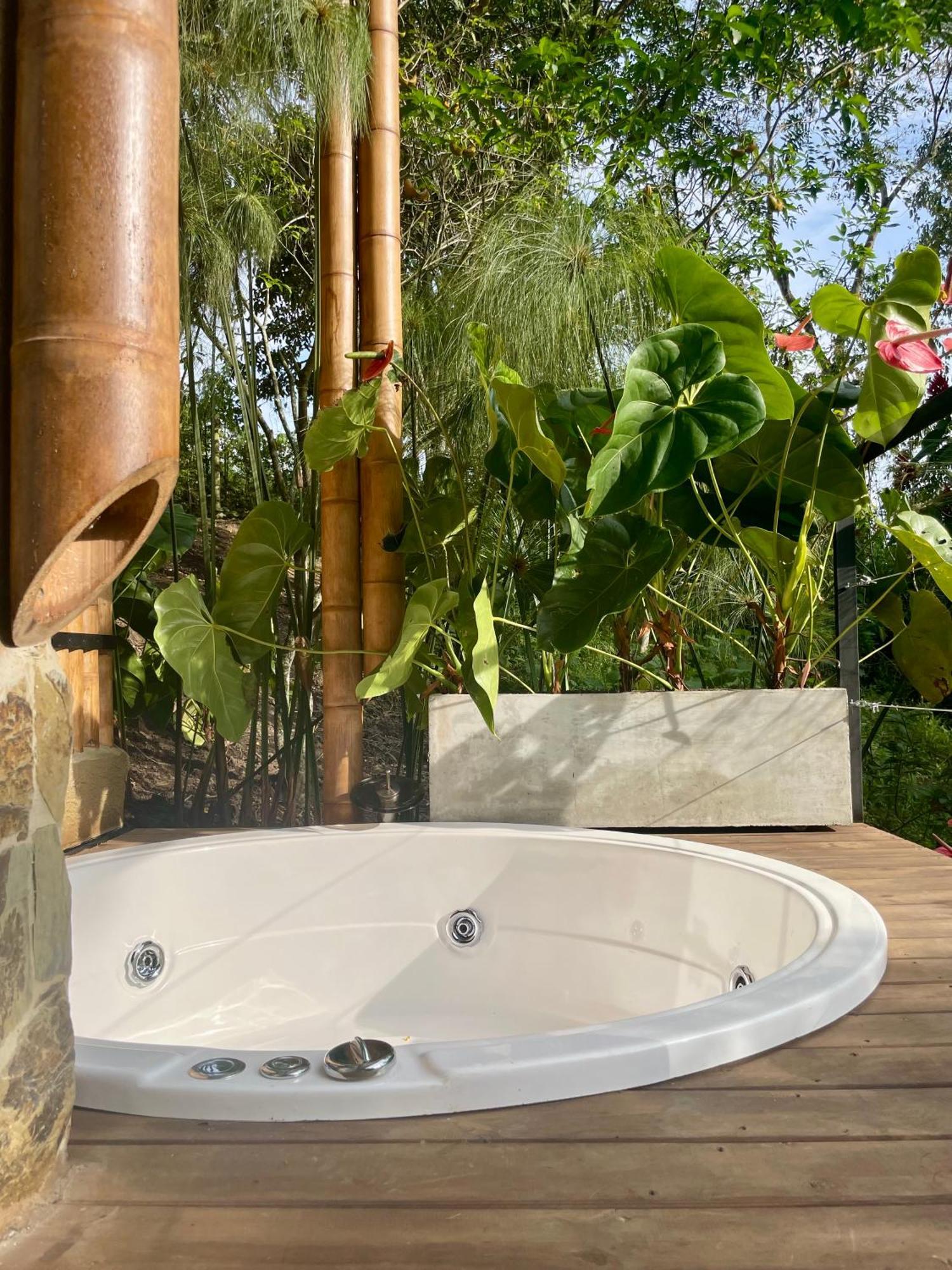 Ecohotel Alma Calarcá エクステリア 写真